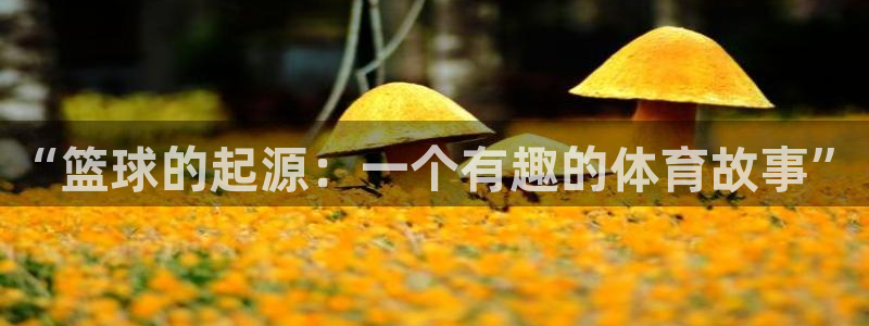 快体育乒乓球：“篮球的起源：一个有趣的体育故事”