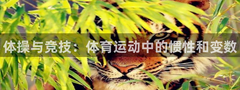 快体育足球篮球