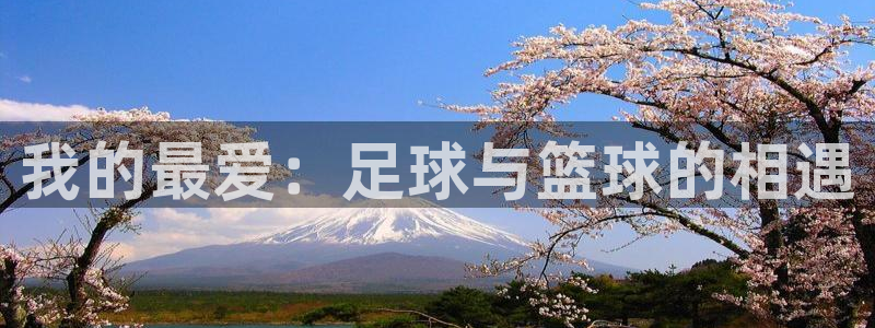 快体育下载：我的最爱：足球与篮球的相遇