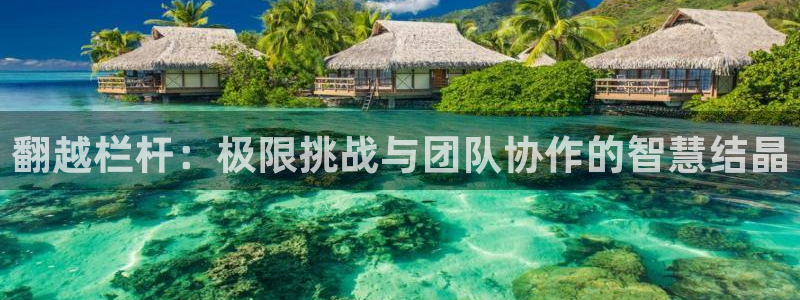 快体育袋鼠足球篮球五大联赛24小时实时直播