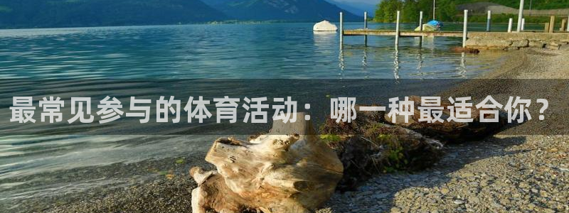 快体育乒乓球