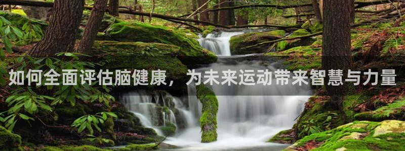 快体育官网
