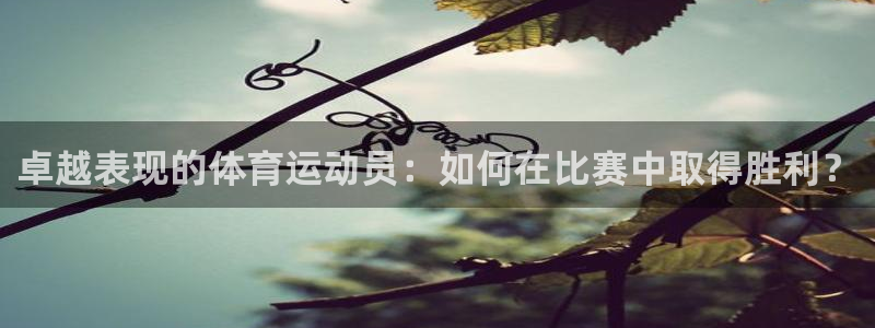 快体育篮球直播