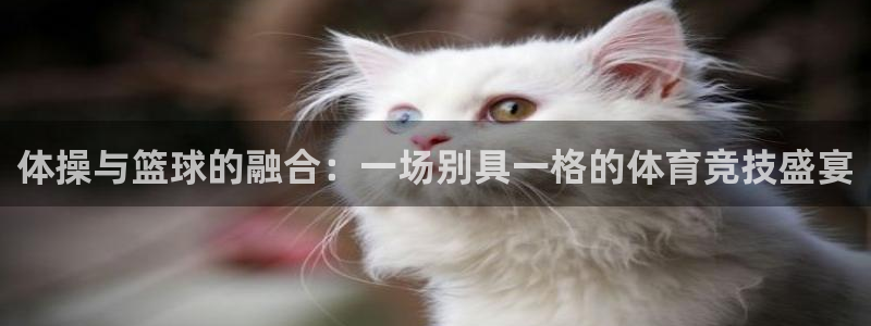 快体育篮球足球