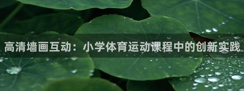 快体育app官方下载